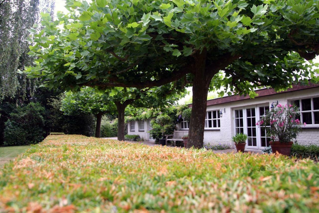 קורטרייק Villa Pura Vida מראה חיצוני תמונה